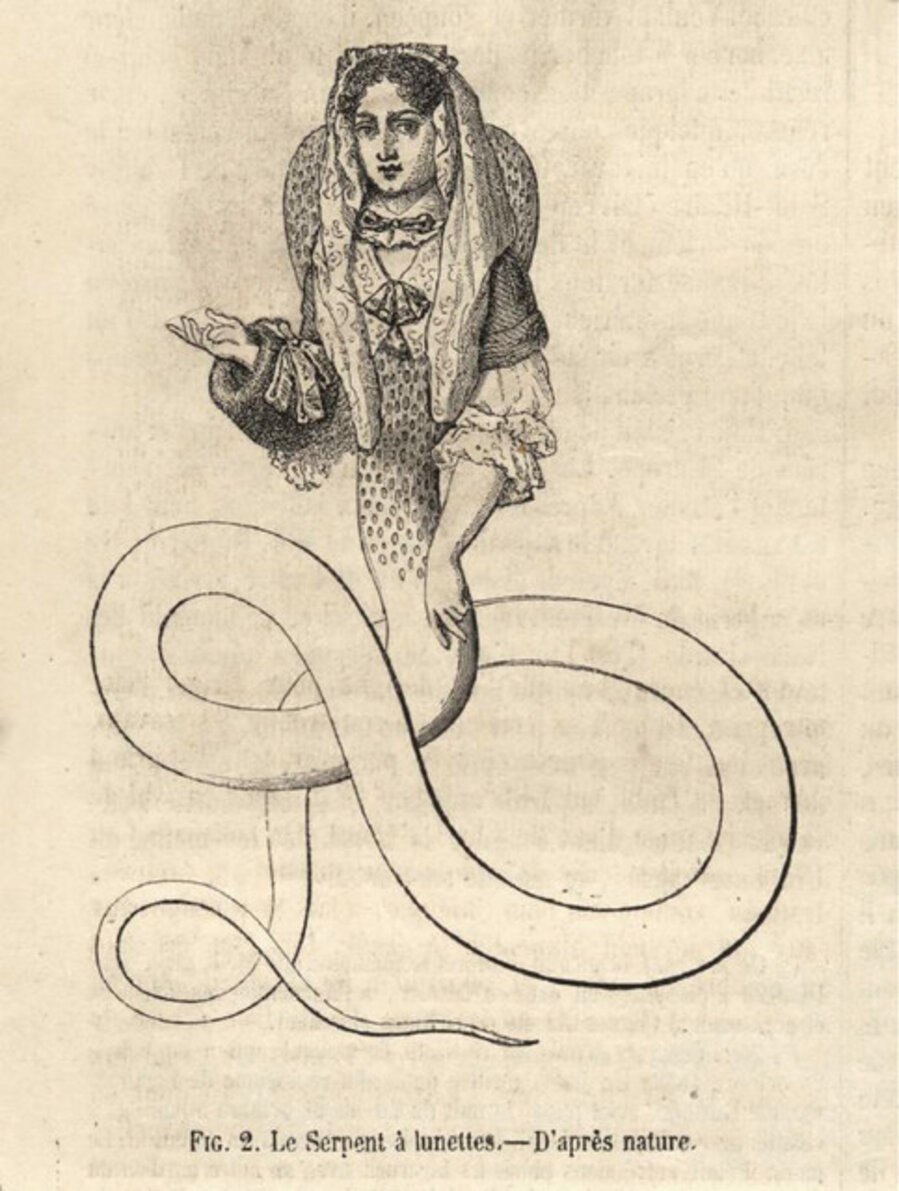 Untitled (D’après nature)