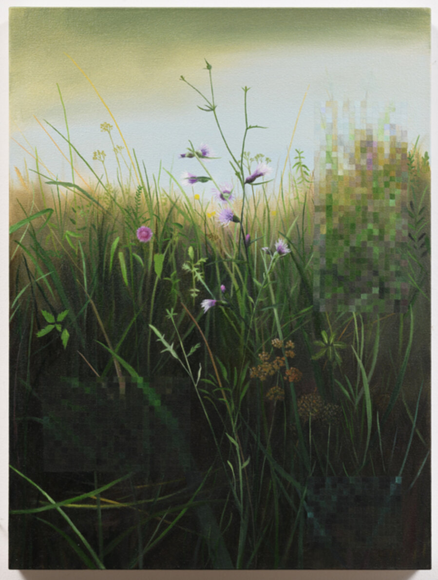 River Bank