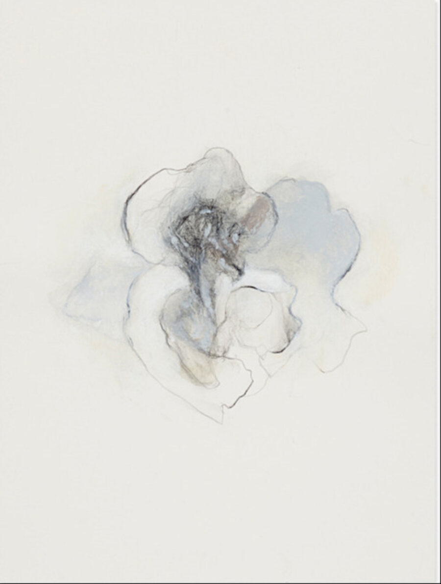 Untitled (Blossoms)