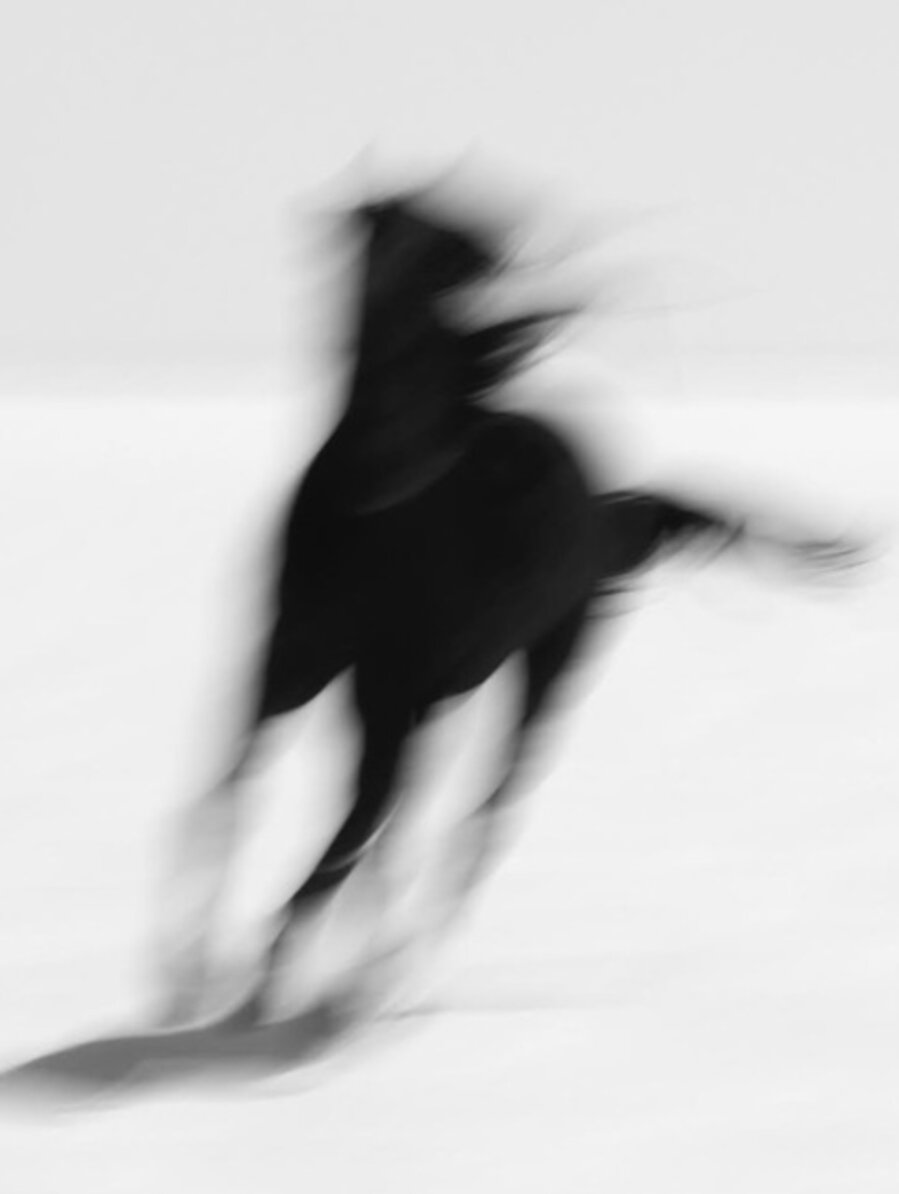 Black Horse #1