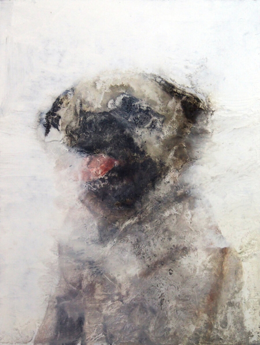 Momopug2000