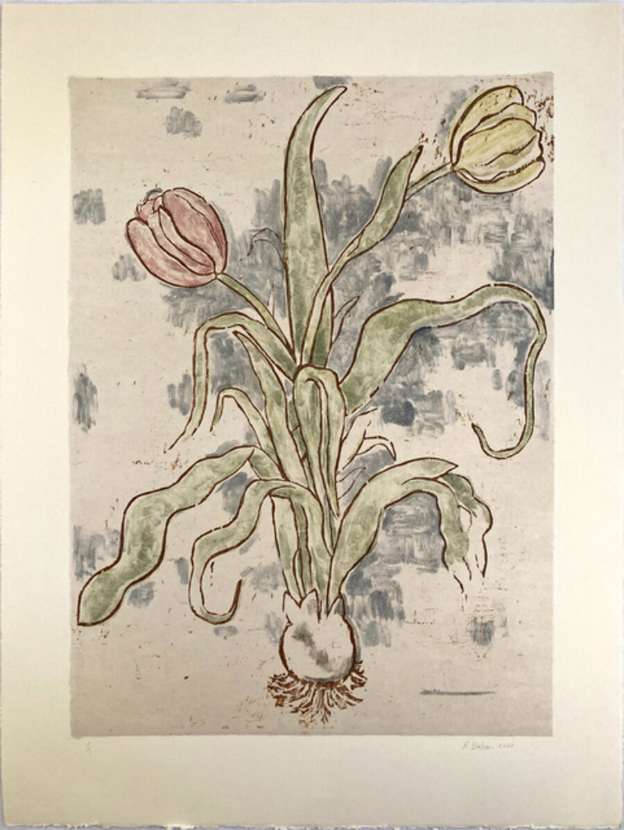 Tulips XVII