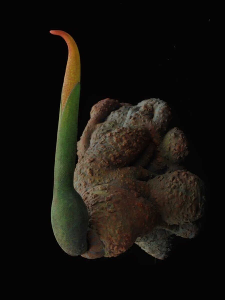 EdenPlant 5