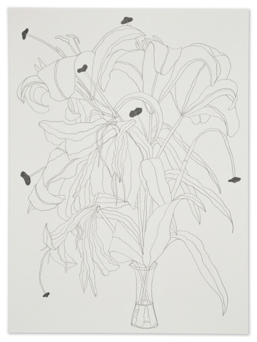 Drawing #111 (Lilies), April 8, 2024