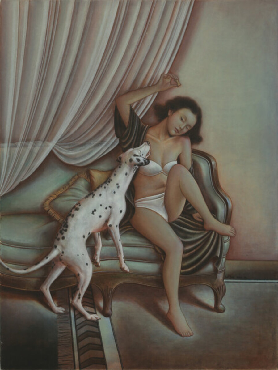 Play with a Dalmatian No2