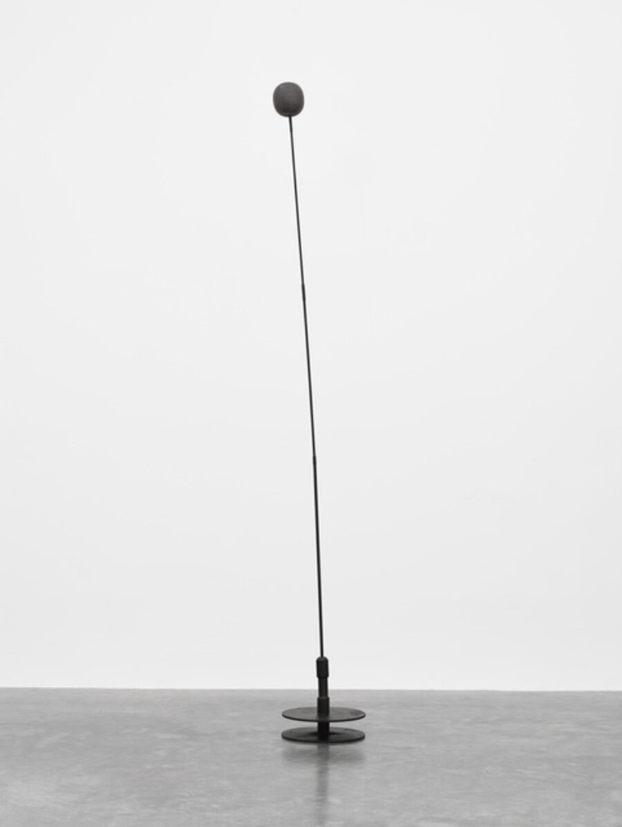 Signal