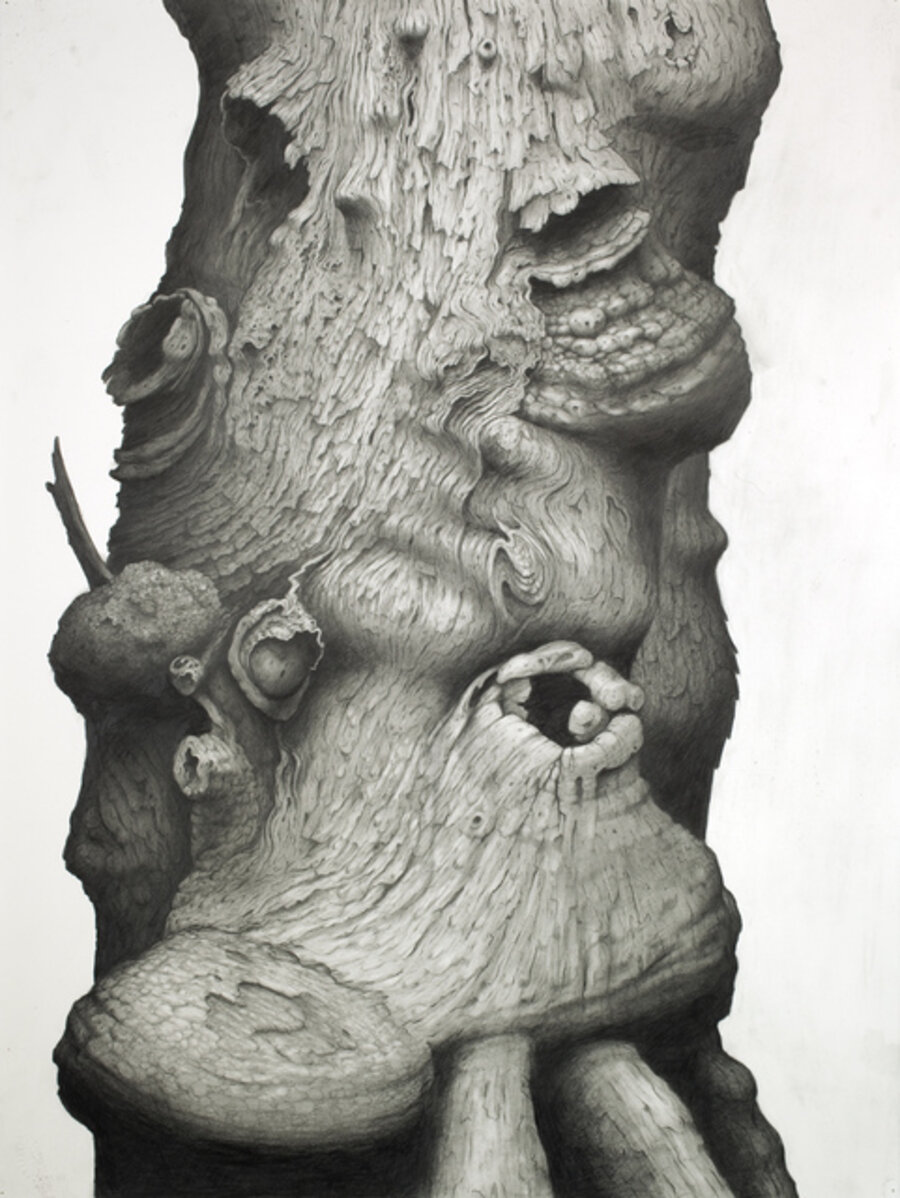 Untitled #33