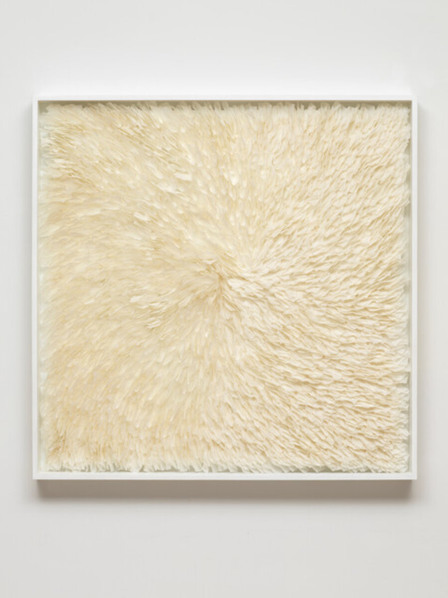 Untitled (Burnt edge swirl)