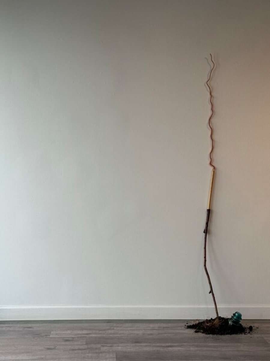 Antenna 497