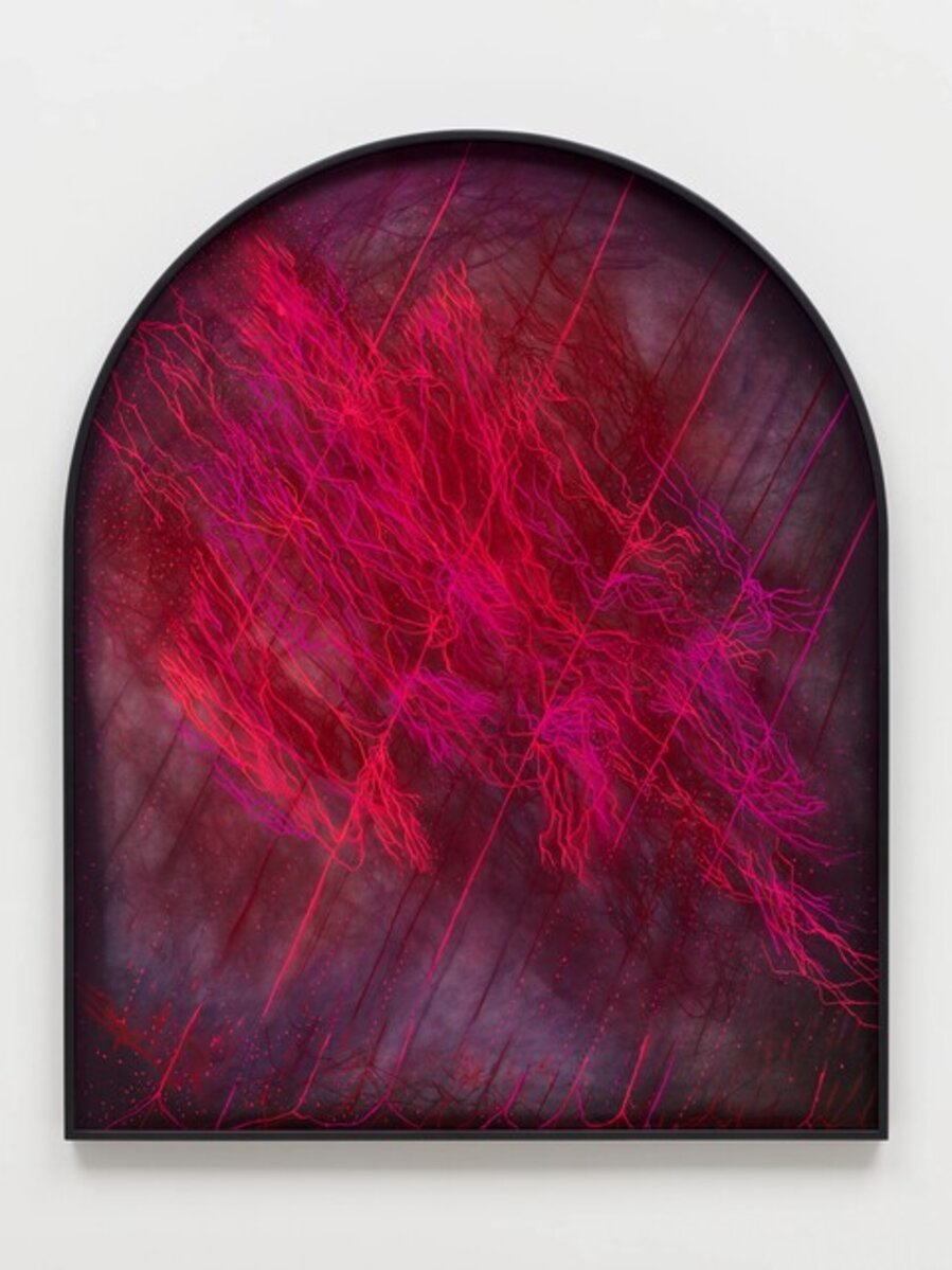Noctilumen: the radiance of thin roots lit by microbial films, fragile strands glowing in absolute dark, a refusal to disappear, a brightness that exists only because darkness sharpens it.