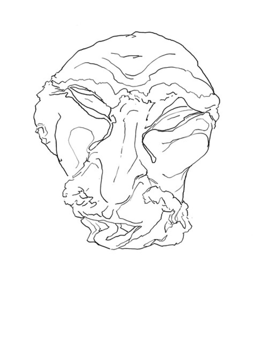 Visage de Pan XII