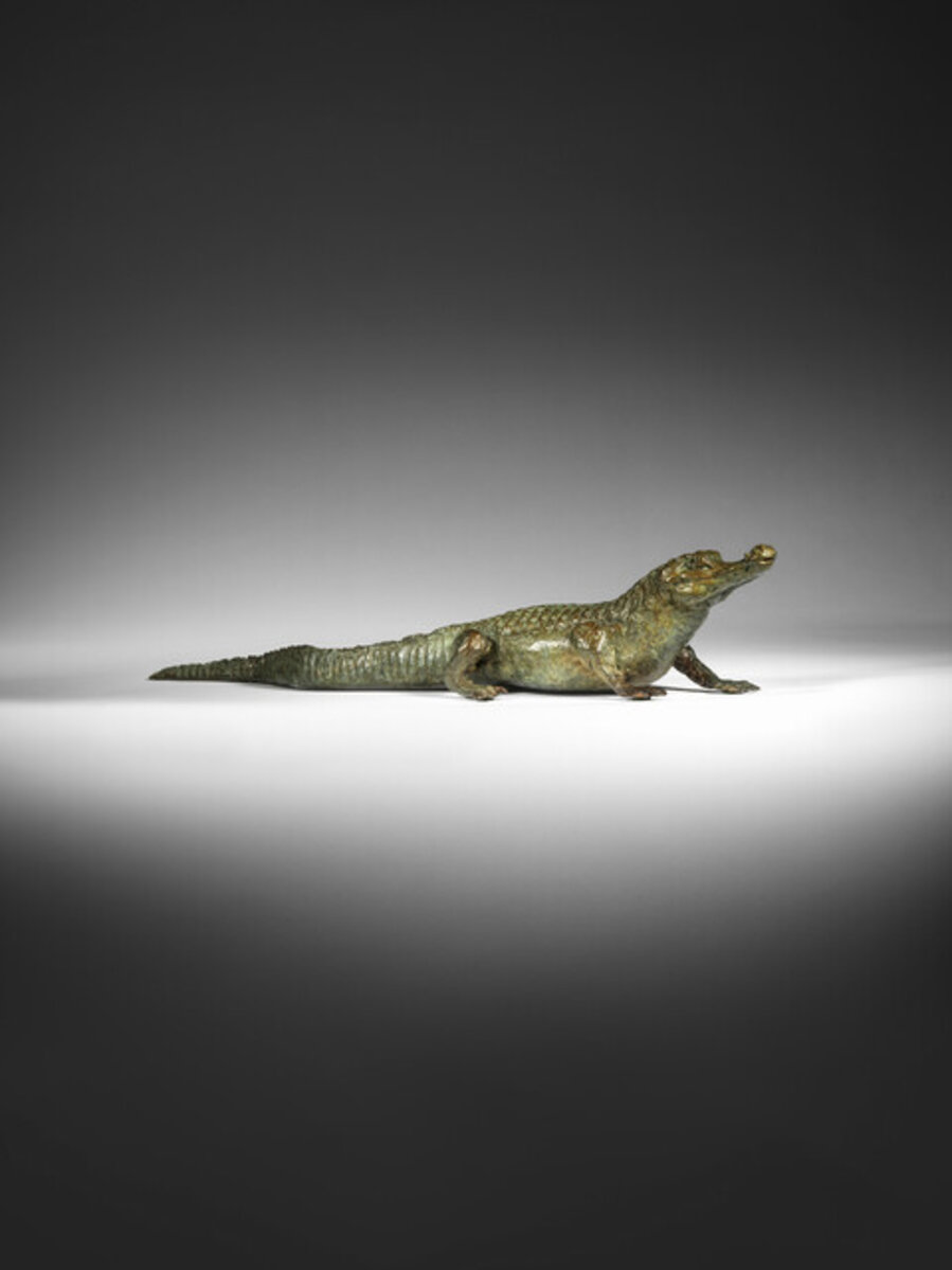 Yacare Caiman