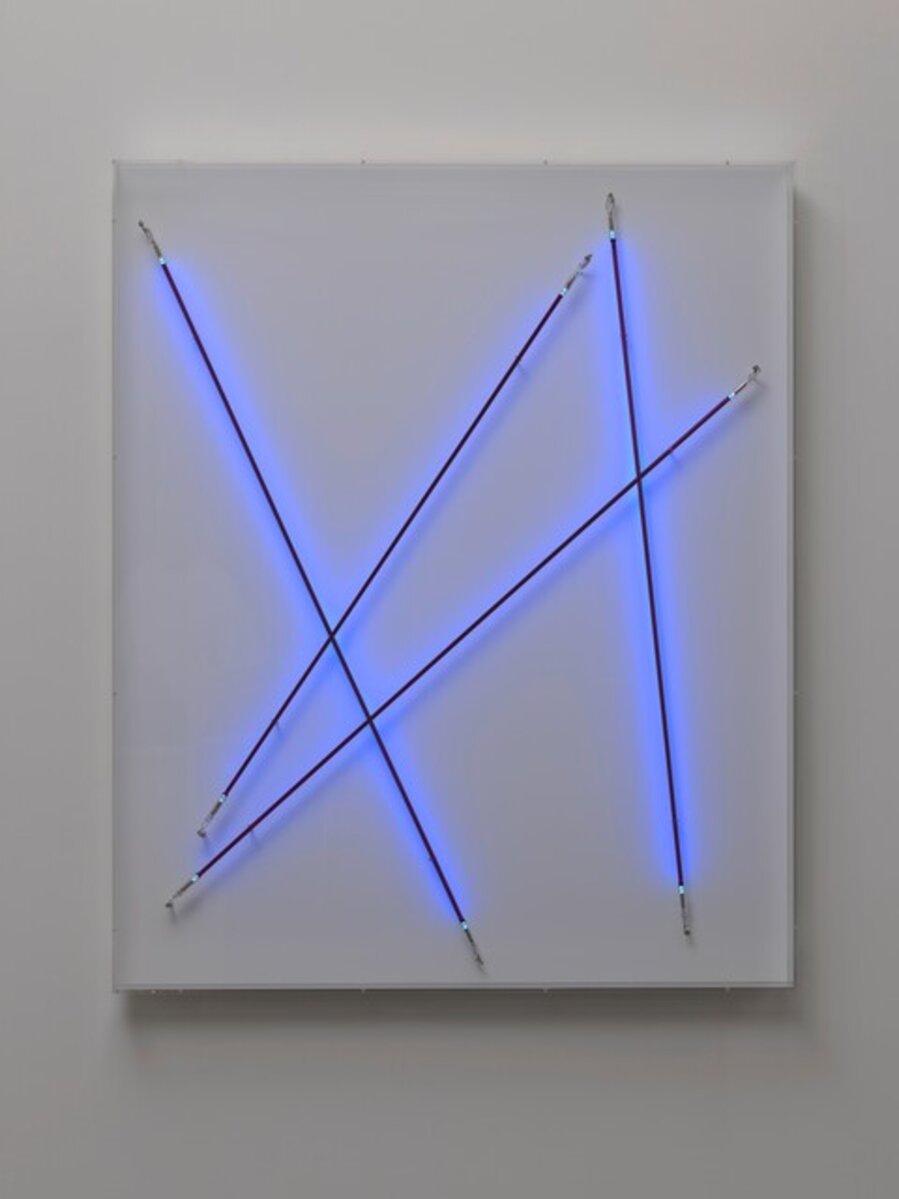 Black Light Organism II