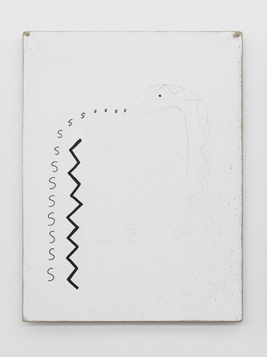 Thoughts collected on the surface of a panel (snake speaking a pattern)