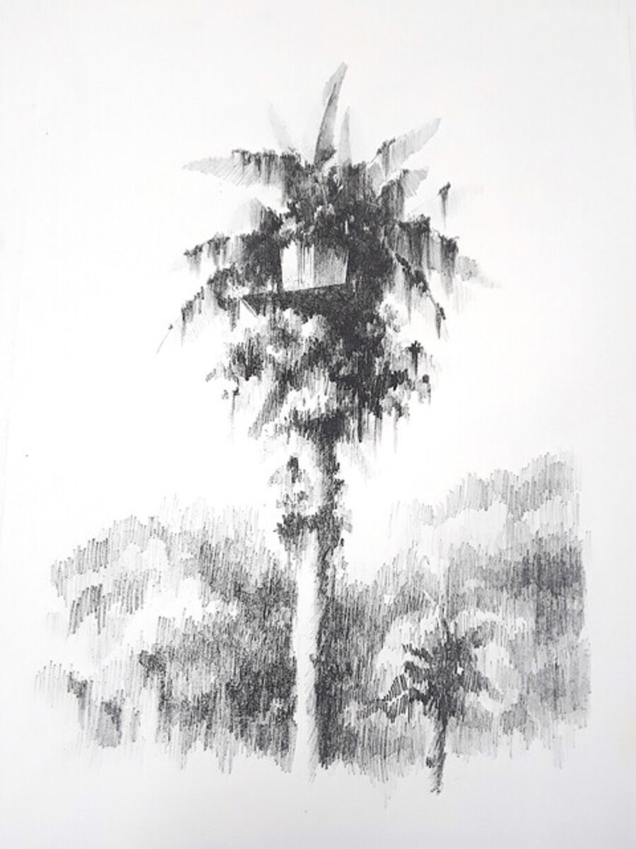 Tree House