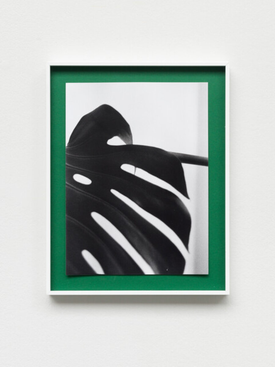 1993 – (Figure)