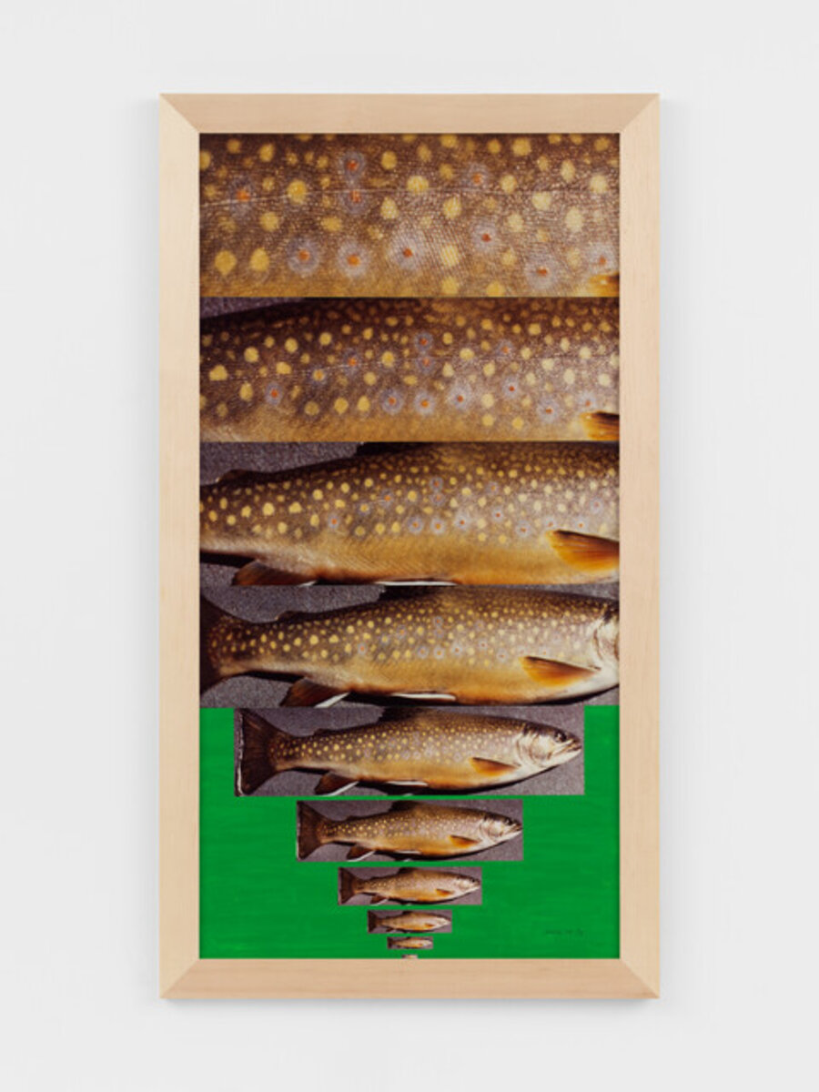 Fish Story