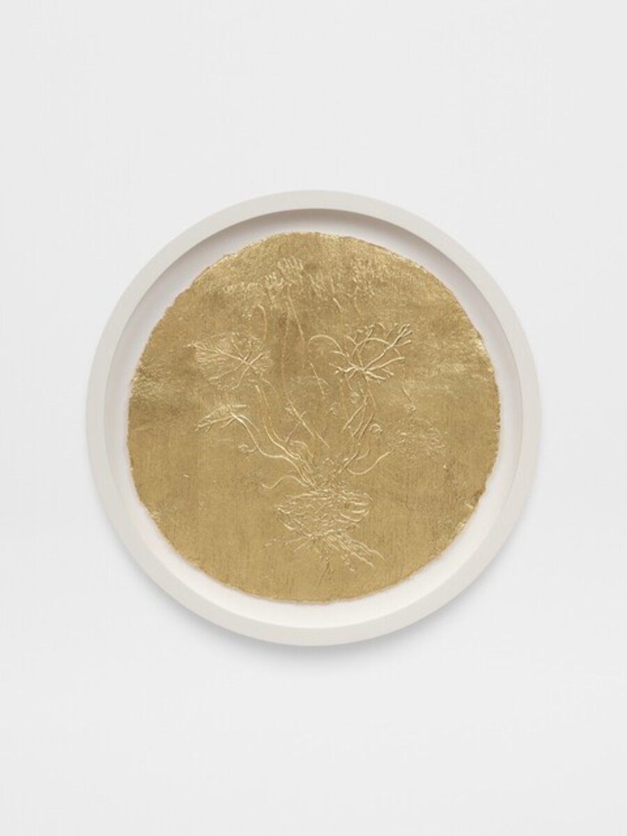 Gesso and 22k gold leaf on paper