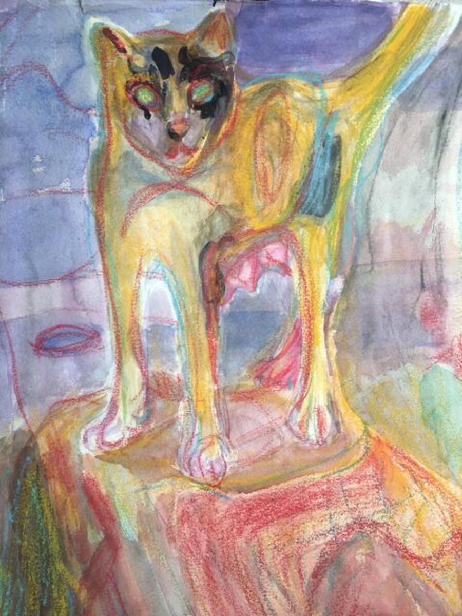 Spanish Cat