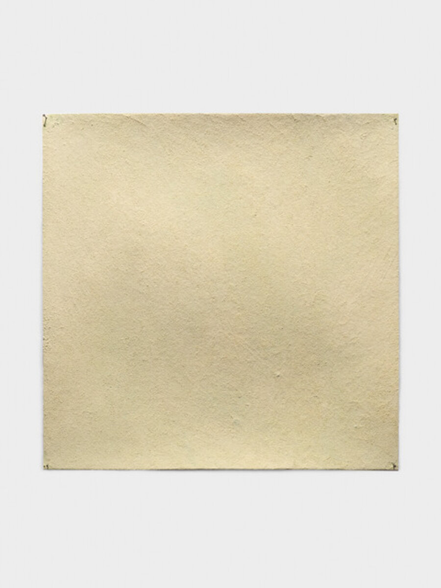 Wasabi