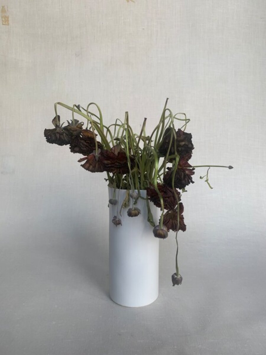 Flowers (Dark-red in white)