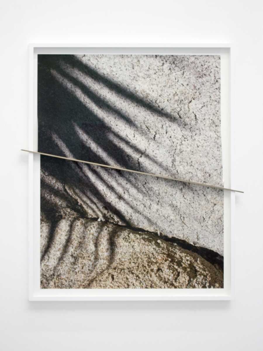 Joshua Tree Bronze Push (Shadows Half Split)