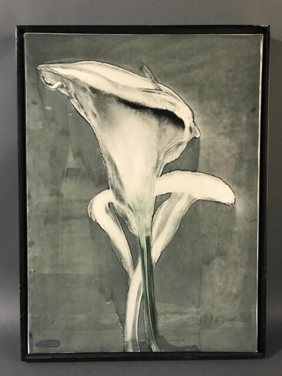 Two Callas II