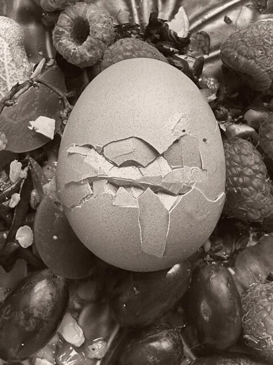 Untitled (Egg)