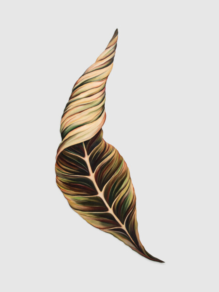 Leaf Series: The Comforter