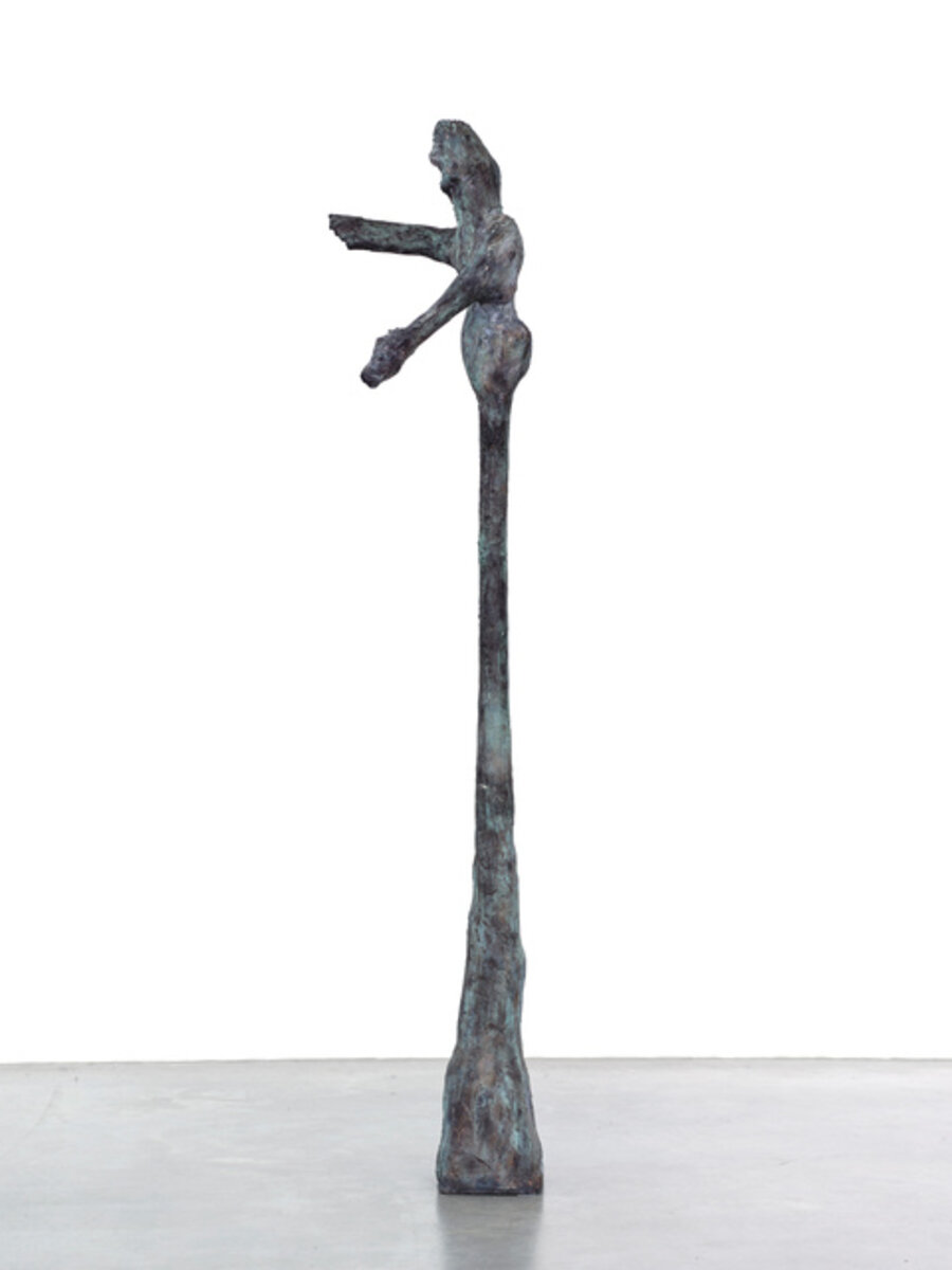 Untitled (from the series „The Shedding of Skin and Dance“)