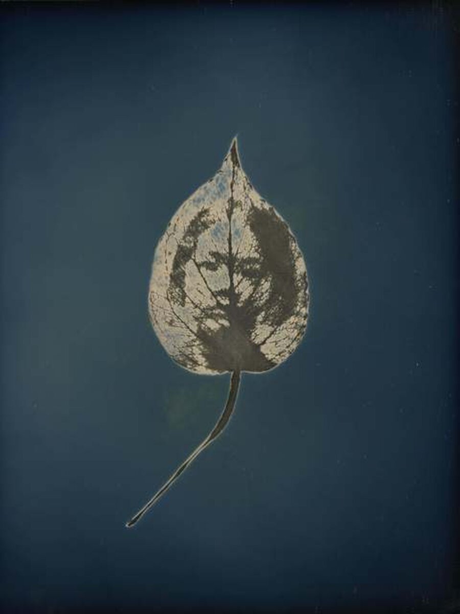Untitled #10