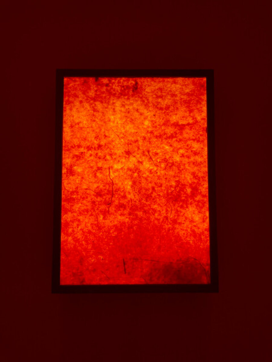 Skin of the Sun II