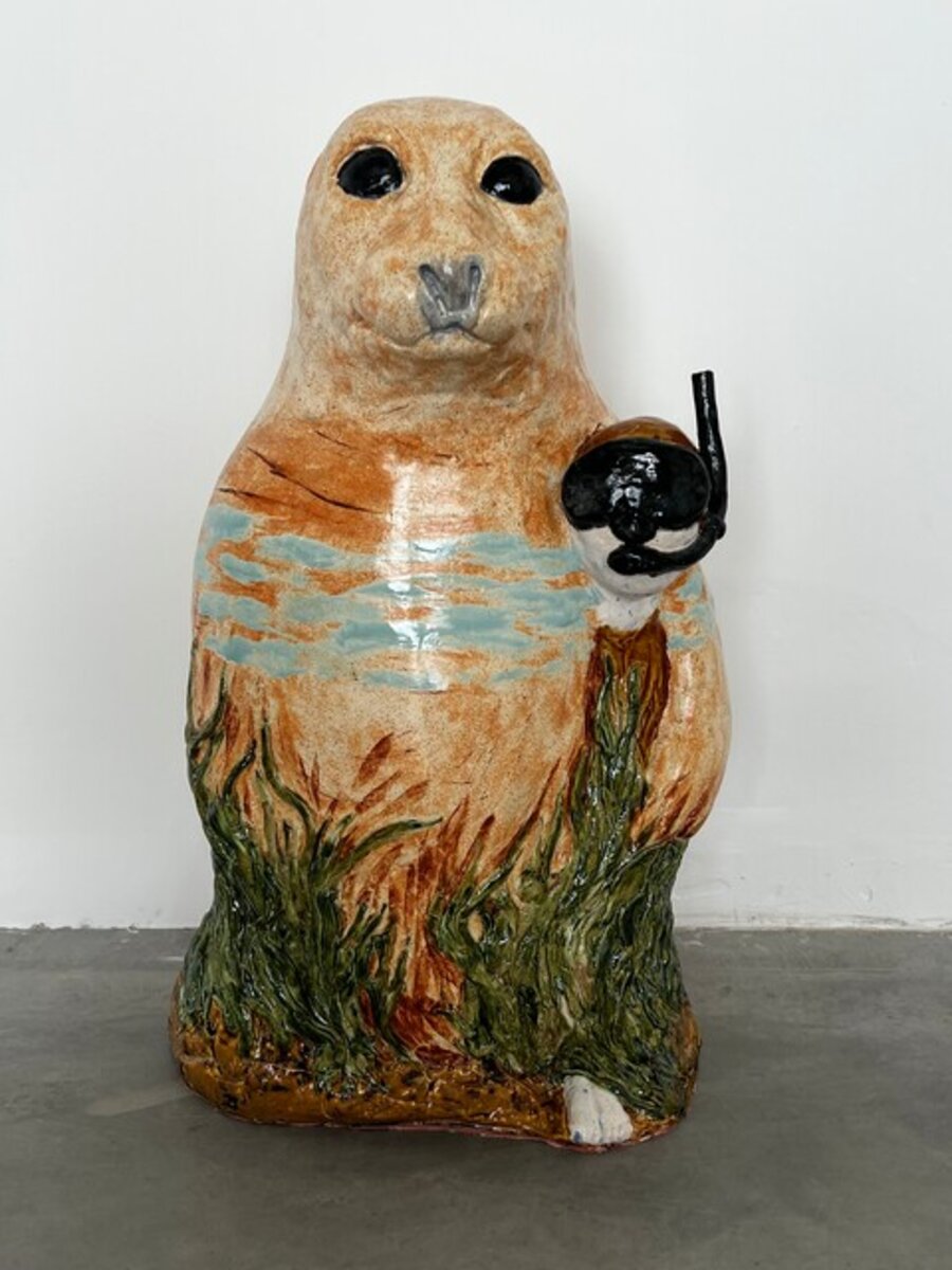 The Snorkeler and the Seal