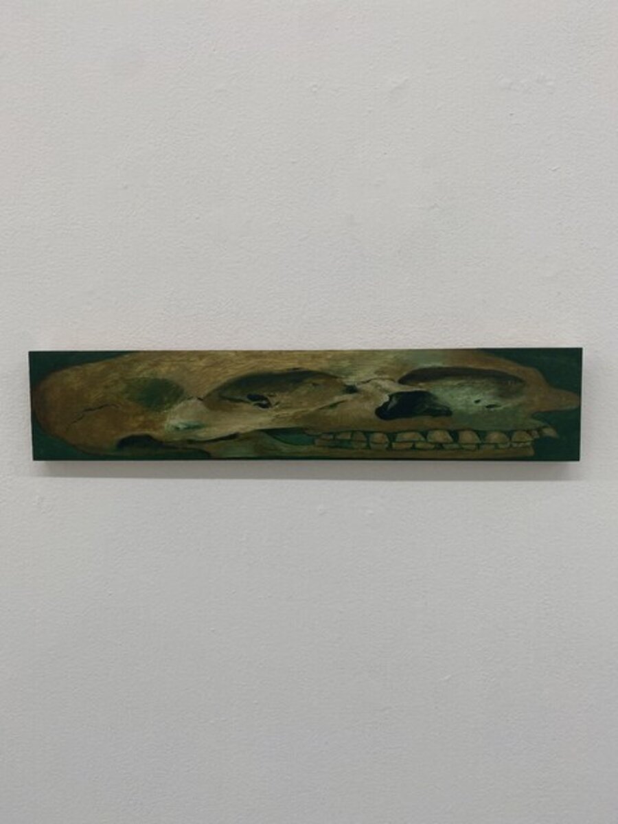 Untitled (Skull)