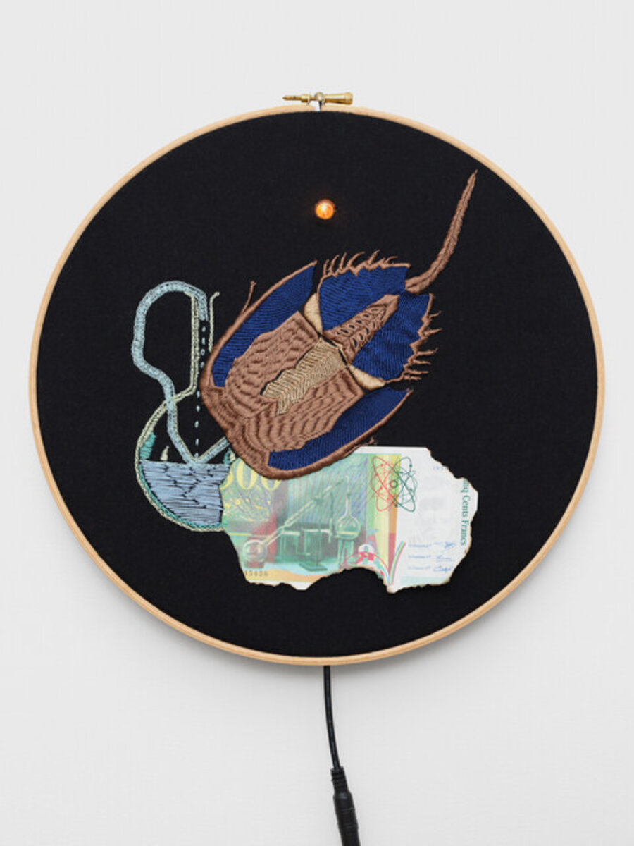 Le sang bleu fatal de la limule (The deadly blue blood of horseshoe crab)