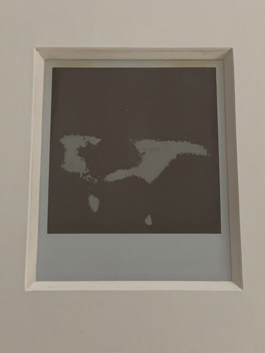 Outdated film (continuity Polaroid)
