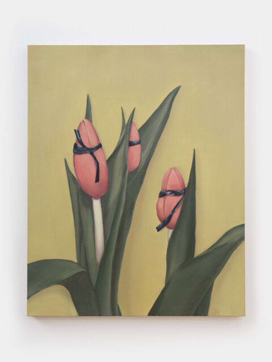 Tied tulips