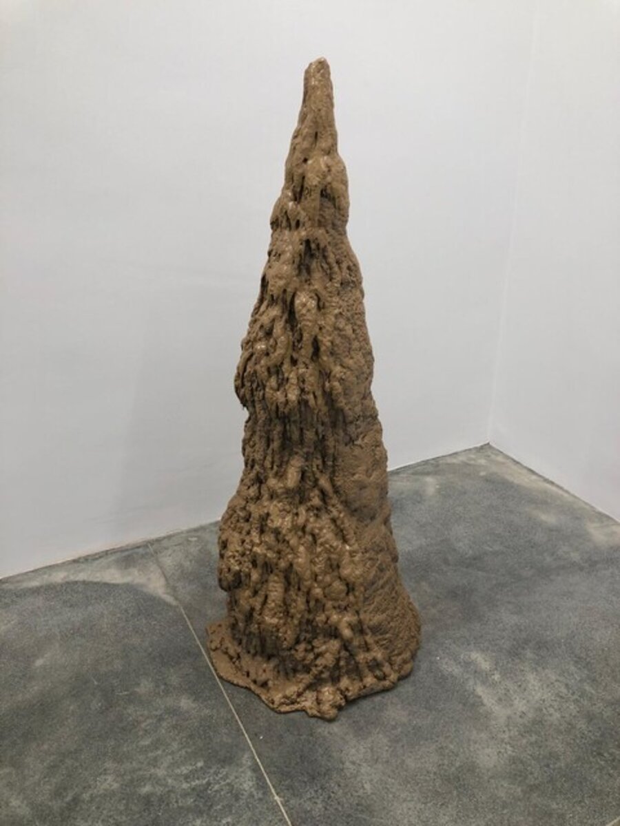 Brown Cone