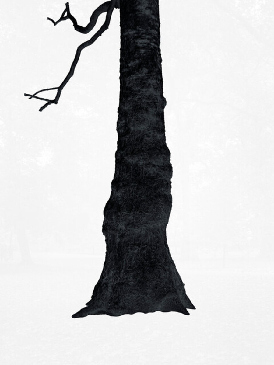 Black Tree 2