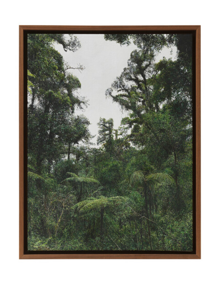 Northern Highlands, Guatemala