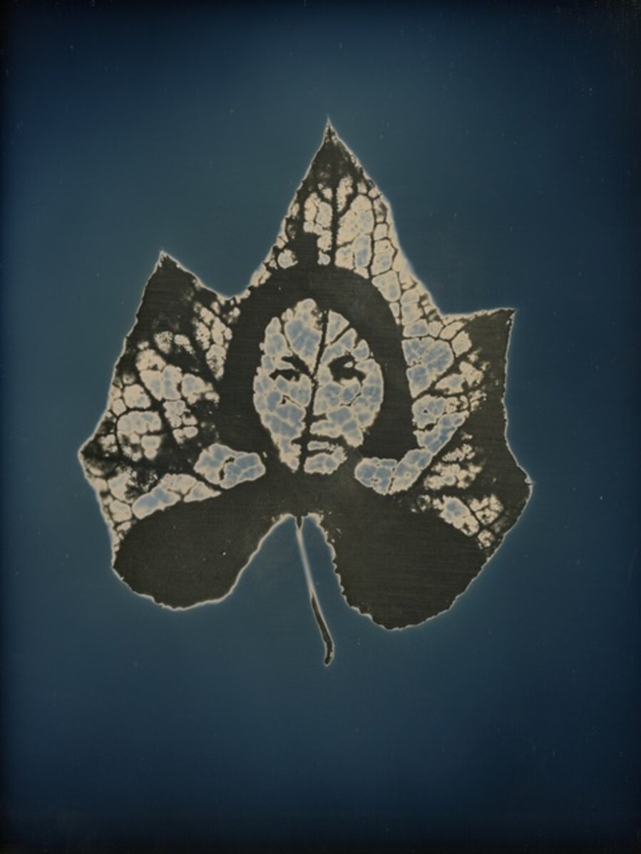 Untitled #13