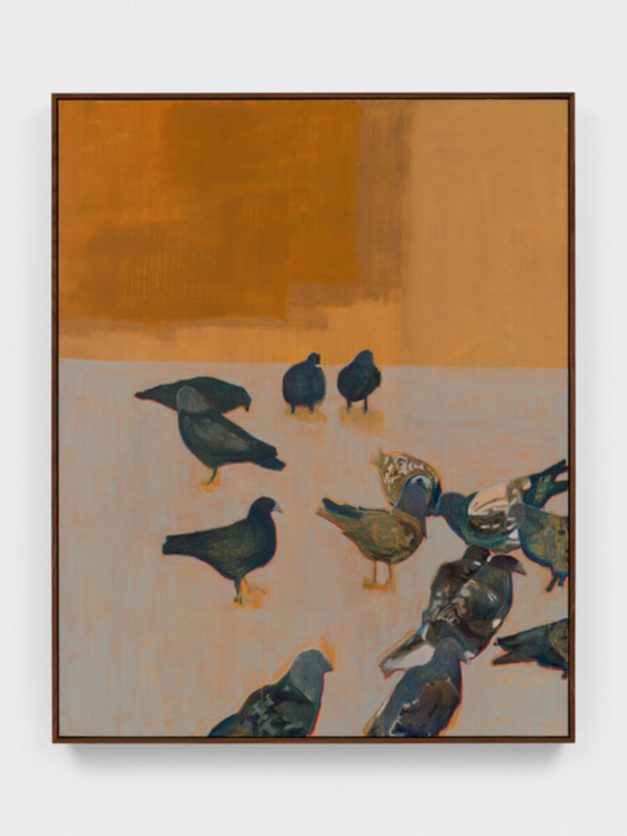 flock