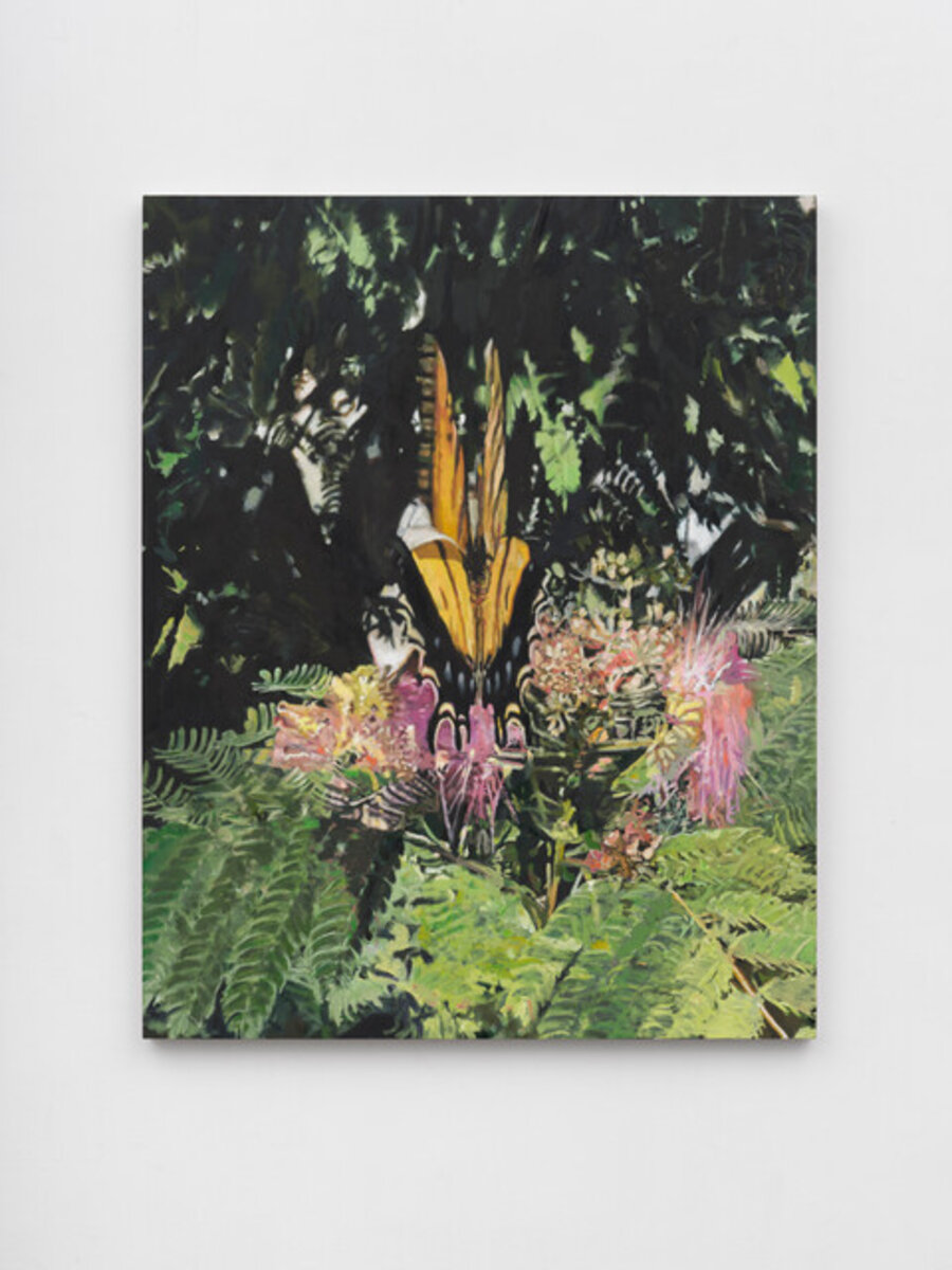 Monarch And Mimosa