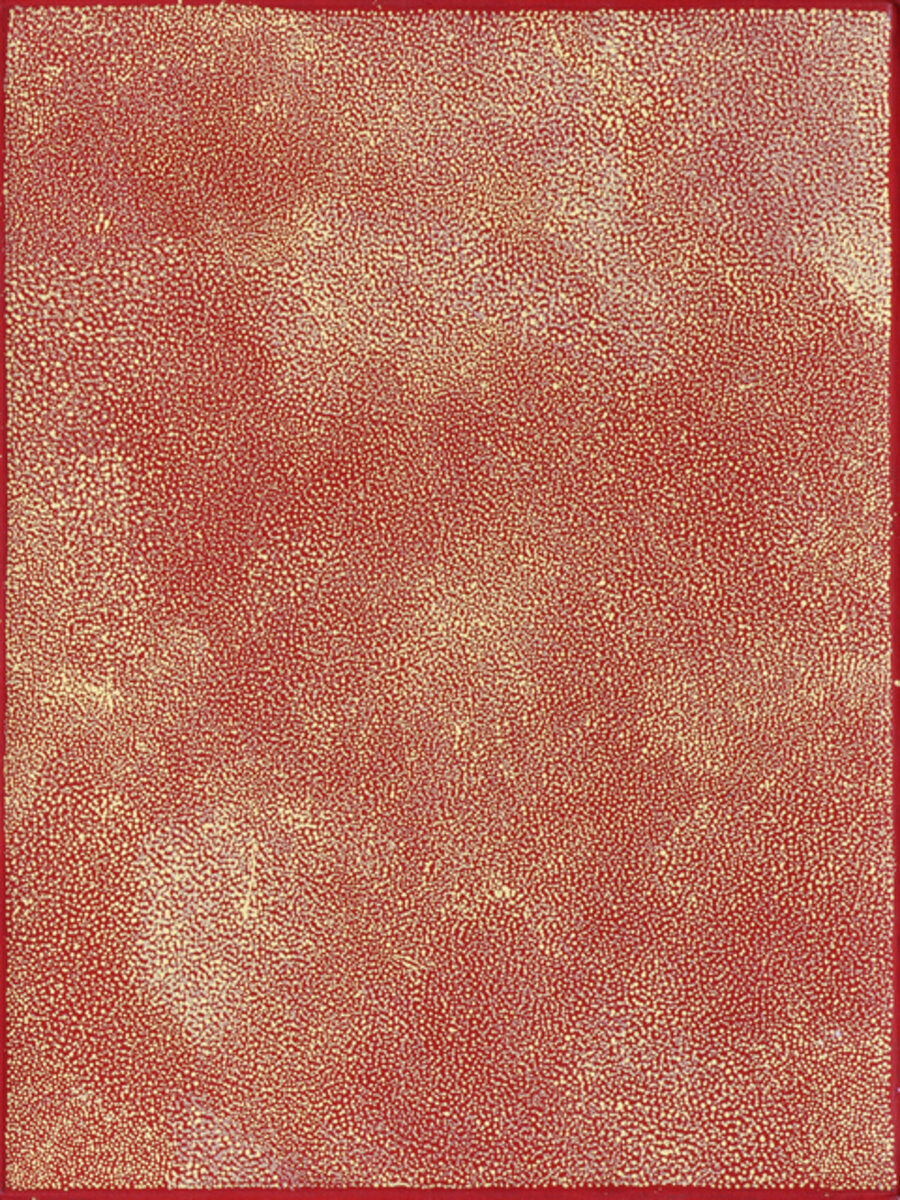 Bush plum (13-716)
