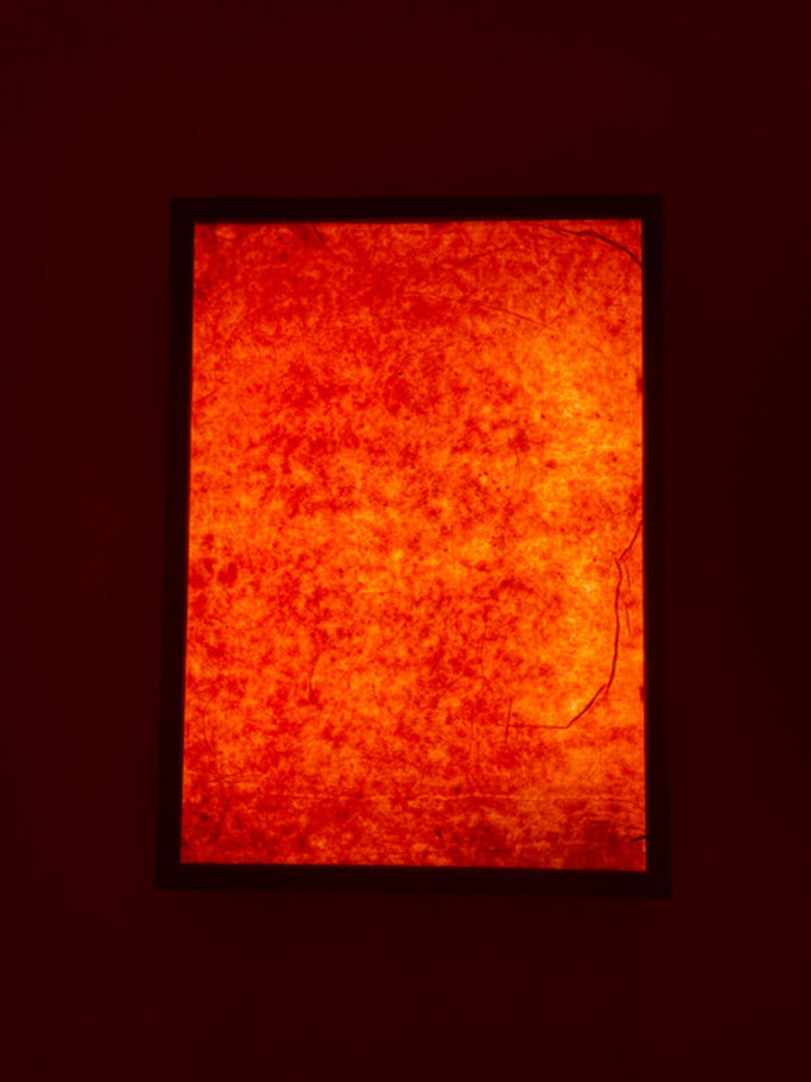 Skin of the Sun IV