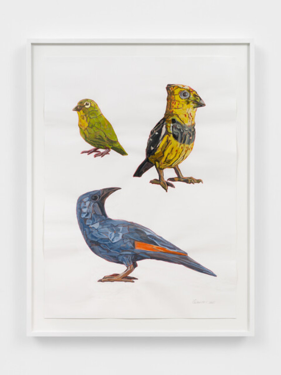 Three Birds