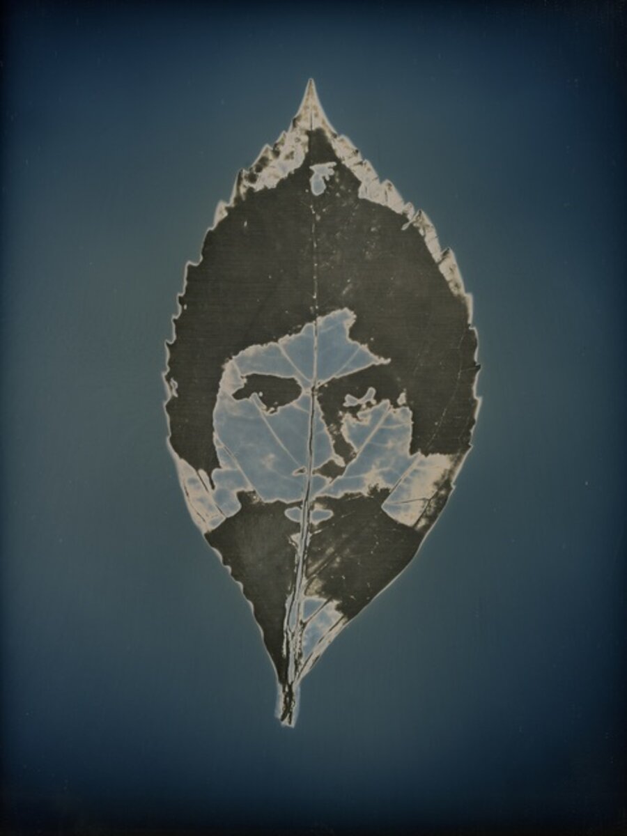 Untitled #16