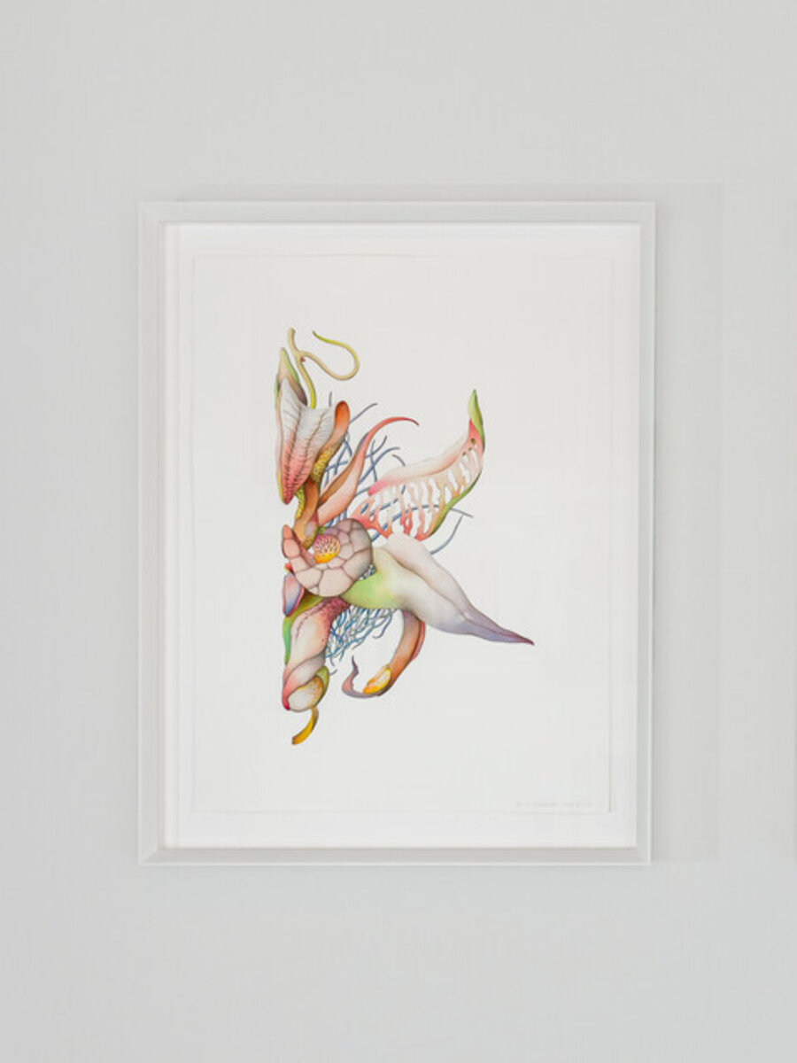 Imago IX