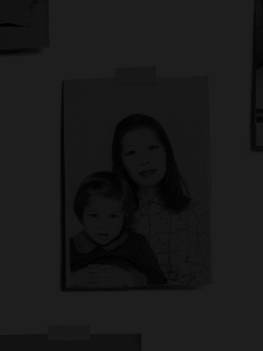 Pictures of Documents (Fusako and May Shigenobu, 1976)
