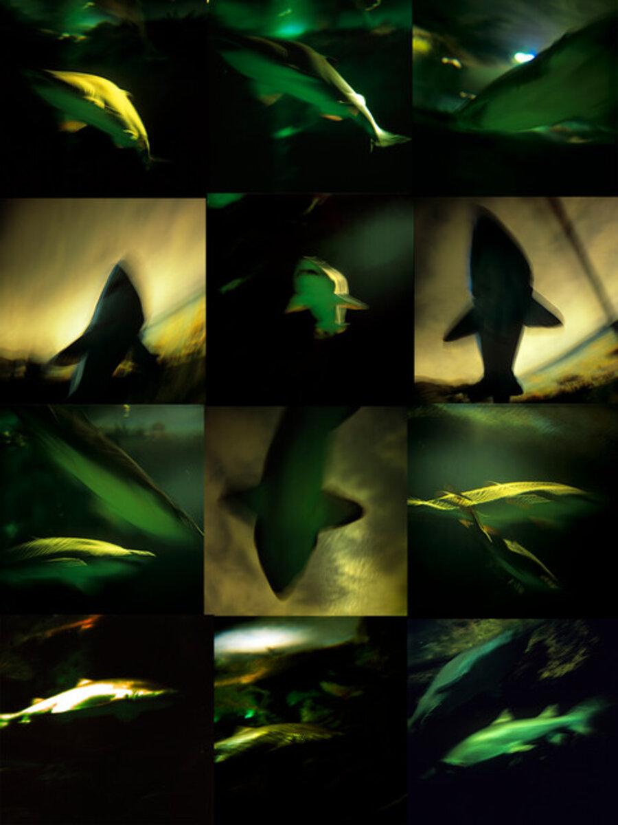 Swift Blues